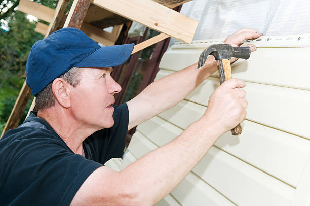 Affordable Siding Repair and Maintenance Services in Spring Valley, AZ
