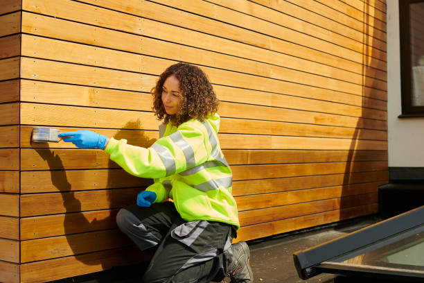 Best Stone Veneer Siding  in Spring Valley, AZ