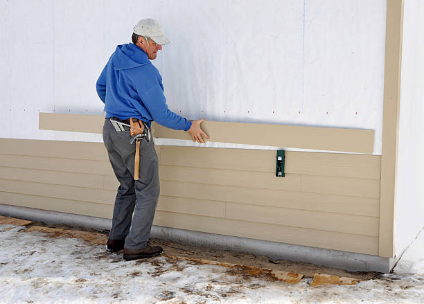 Best Siding Removal and Disposal  in Spring Valley, AZ